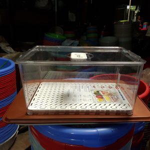 HỘP NHỰA ĐỰNG THỰC PHẨM 306